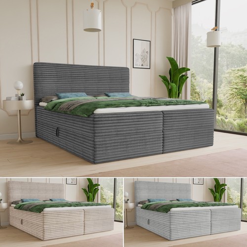Boxspringbett mollo bett - mollo,